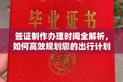 浑南签证制作办理时间全解析，如何高效规划您的出行计划