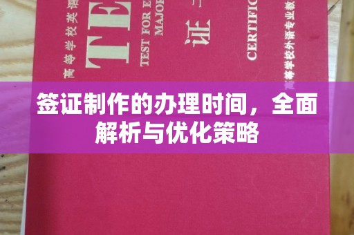浑南签证制作的办理时间，全面解析与优化策略