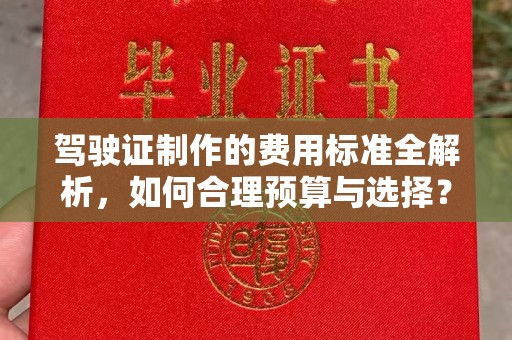 浑南驾驶证制作的费用标准全解析，如何合理预算与选择？