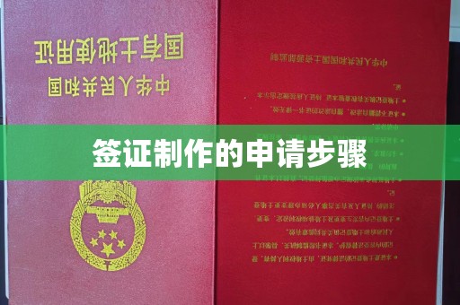 浑南签证制作的申请步骤