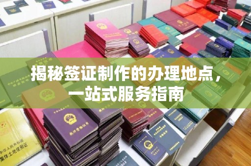 浑南揭秘签证制作的办理地点，一站式服务指南